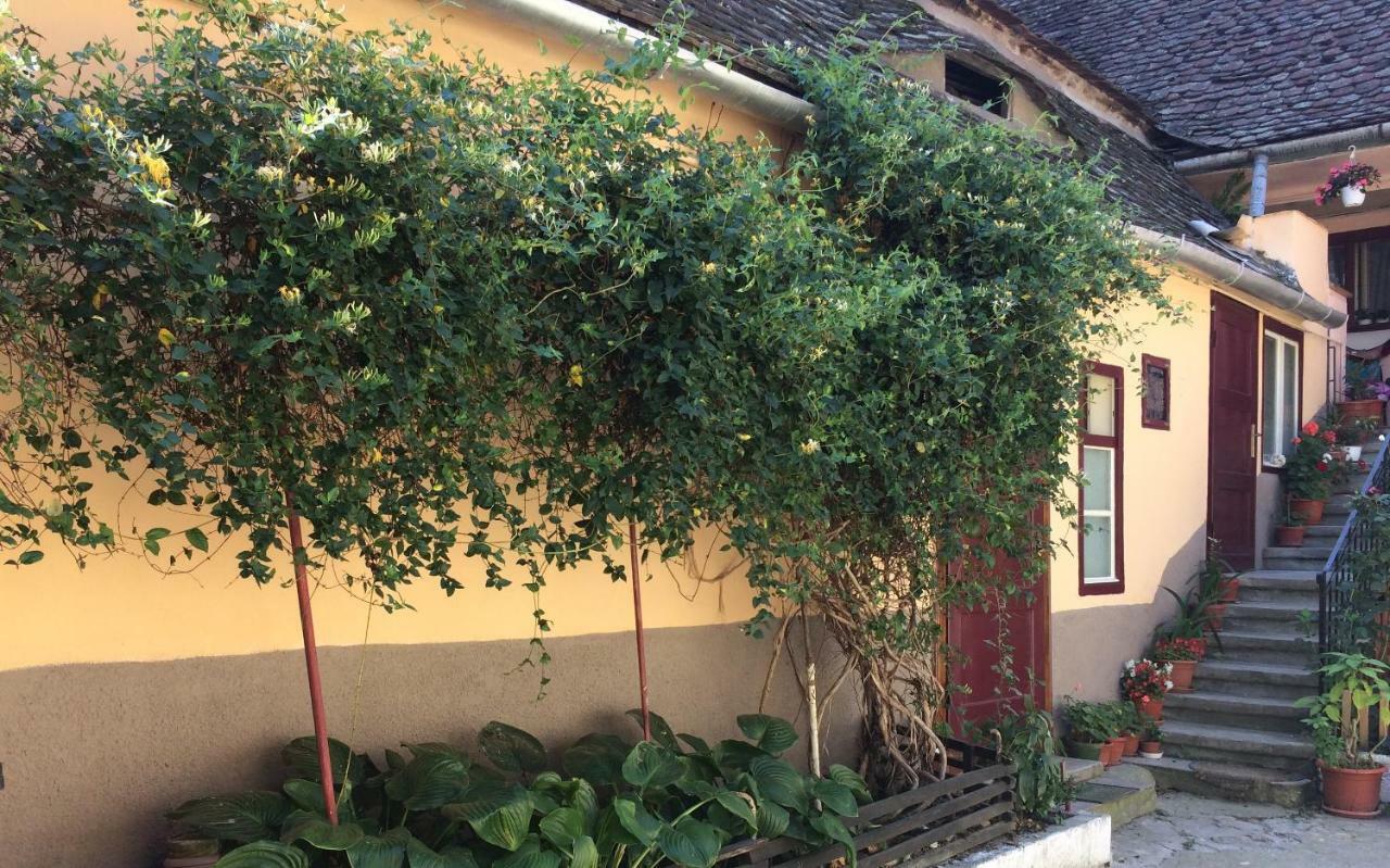 Iony Apartament Sibiu Exteriör bild